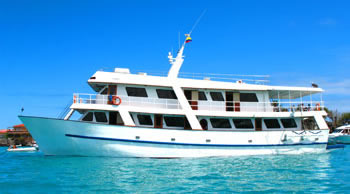 Galapagos Cruises