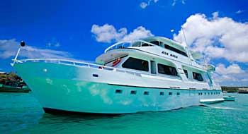 Galapagos Cruises